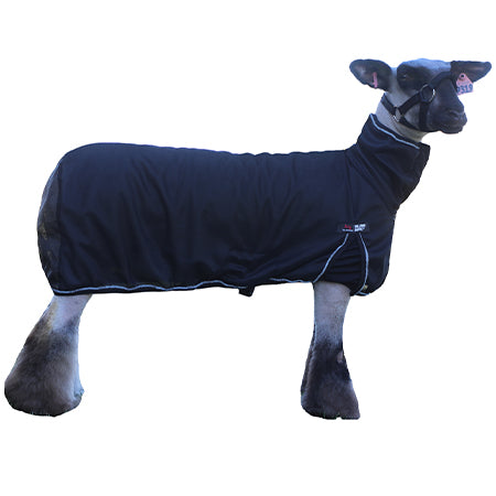 Blankets - Cool Tech Sheep Blanket