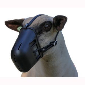 Hard Plastic Muzzles